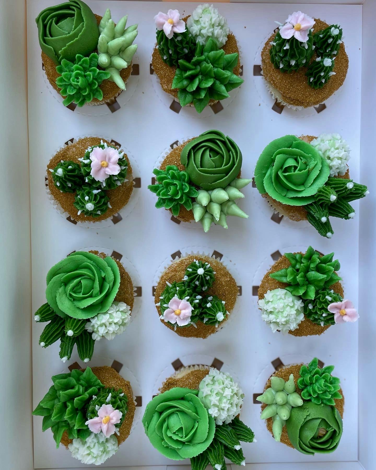 Box of 12 Cupcakes