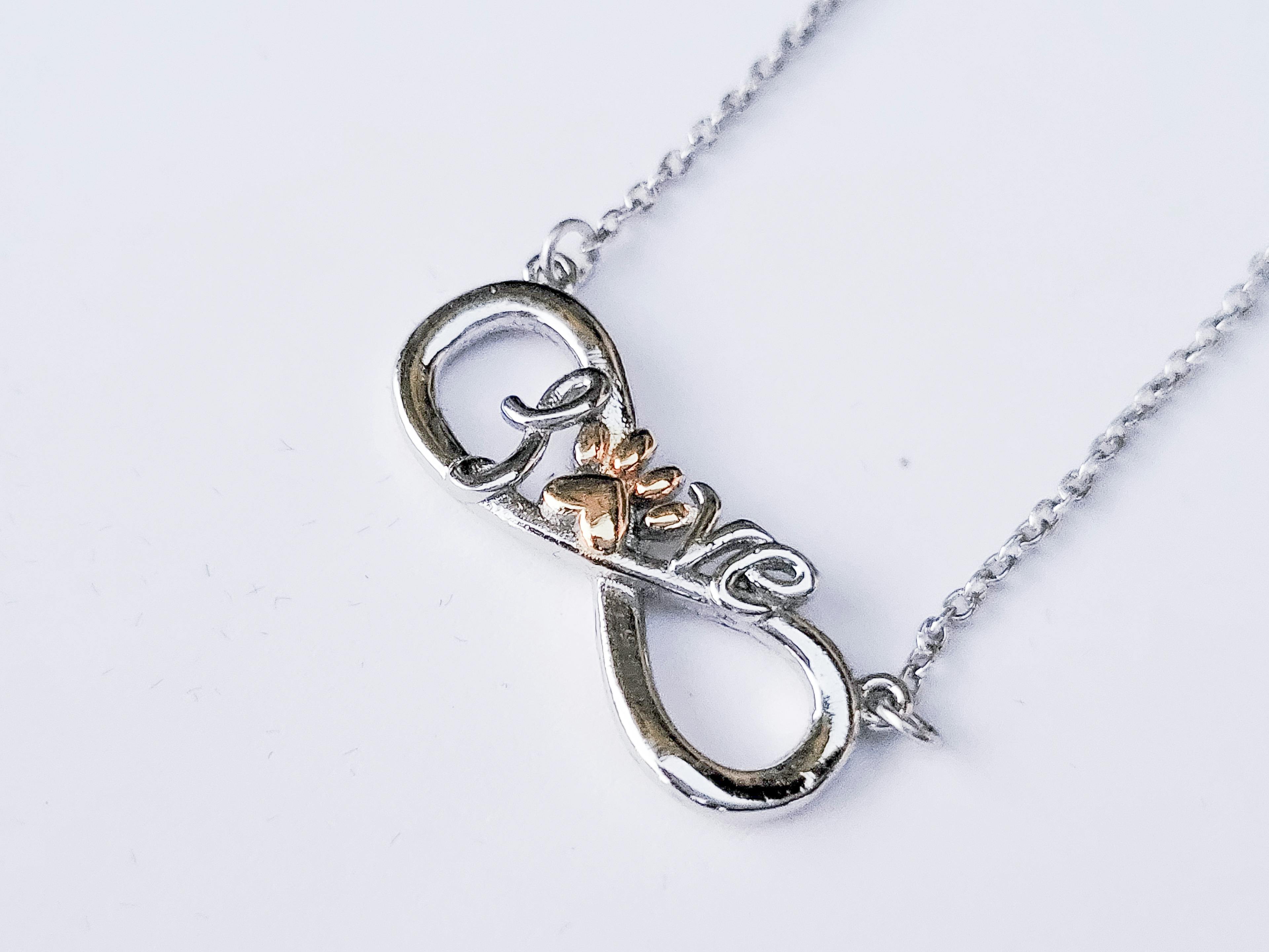 Sterling Silver/Gold Infinity Love Pet Necklace