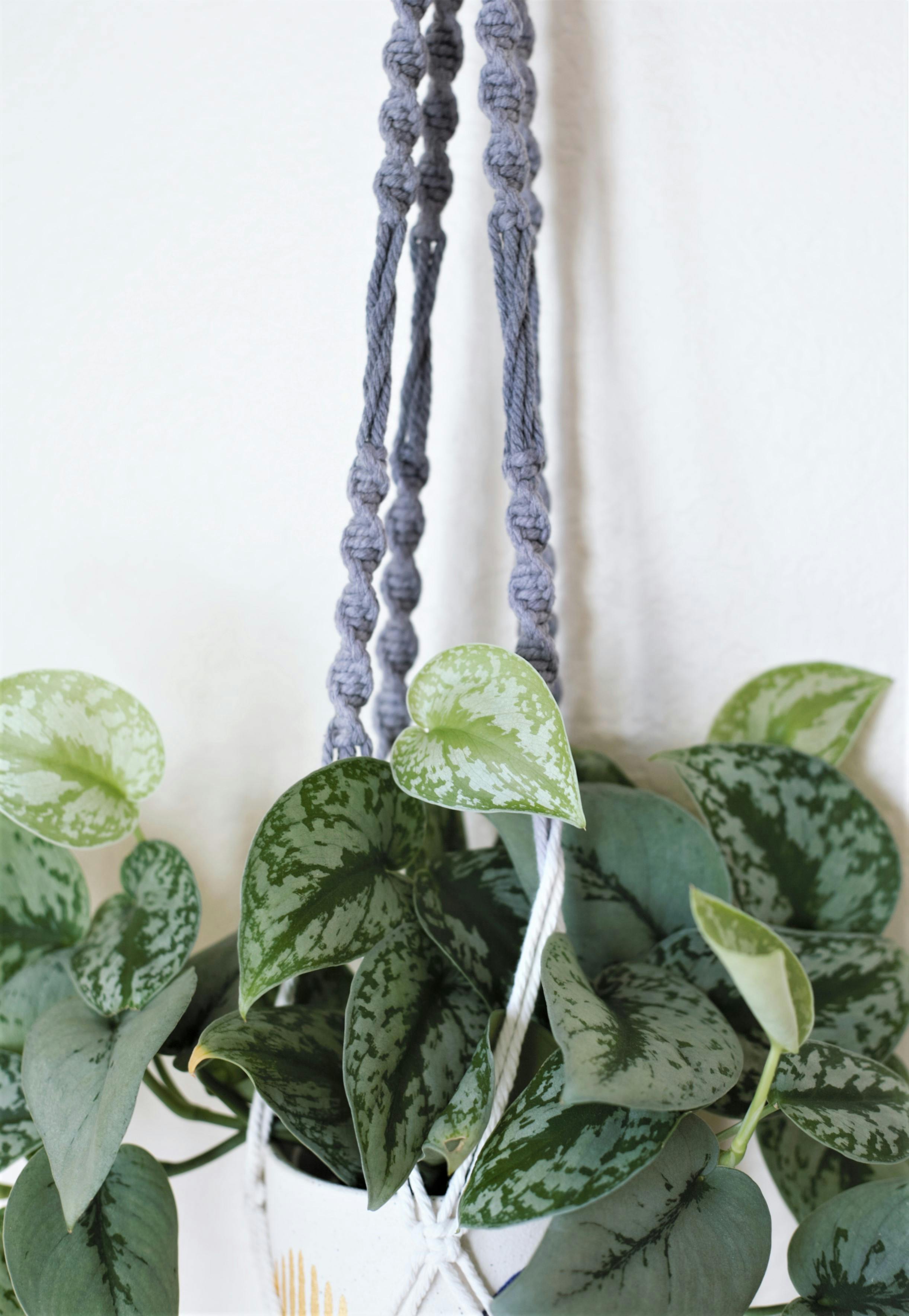 Grey and White Ombre Dip Dye Houseplant Hanger