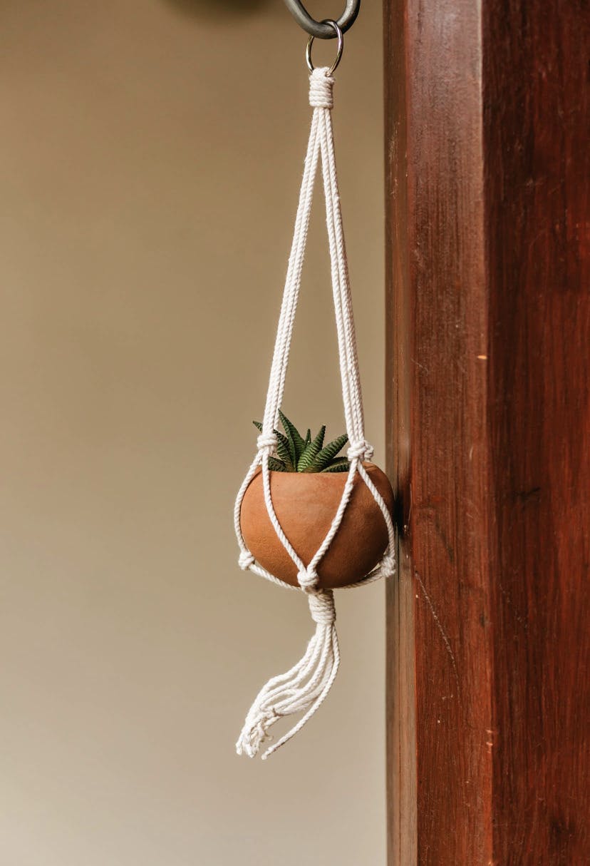 Mini planter w/Macrame holder - terracotta 
