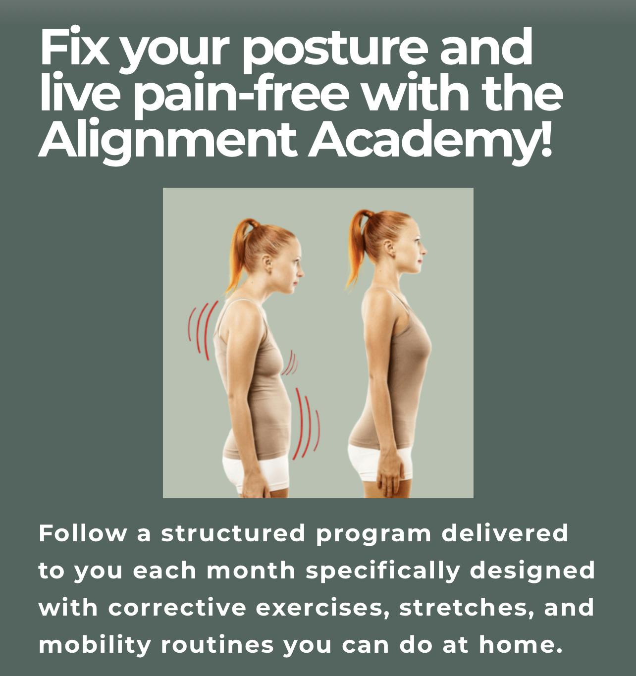 AlignmentAcademy posture correction program