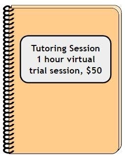 Tutoring Session - 1 hour virtual trial, $50
