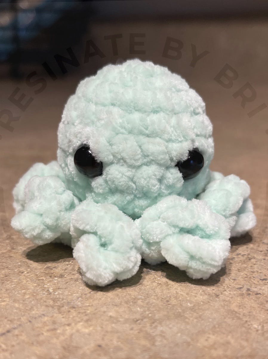 Baby Octopi