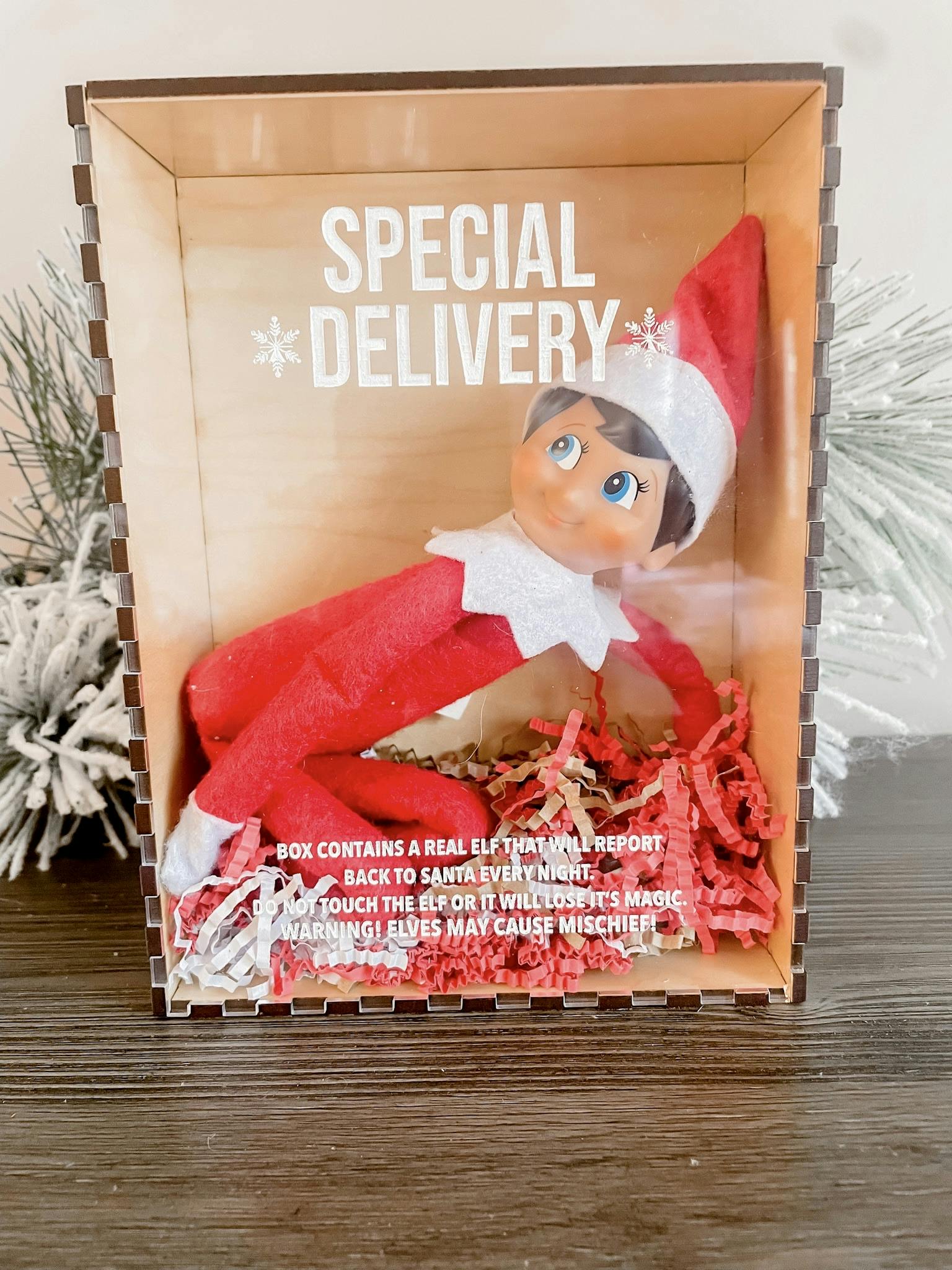 Elf on Shelf Kit Pre-Order