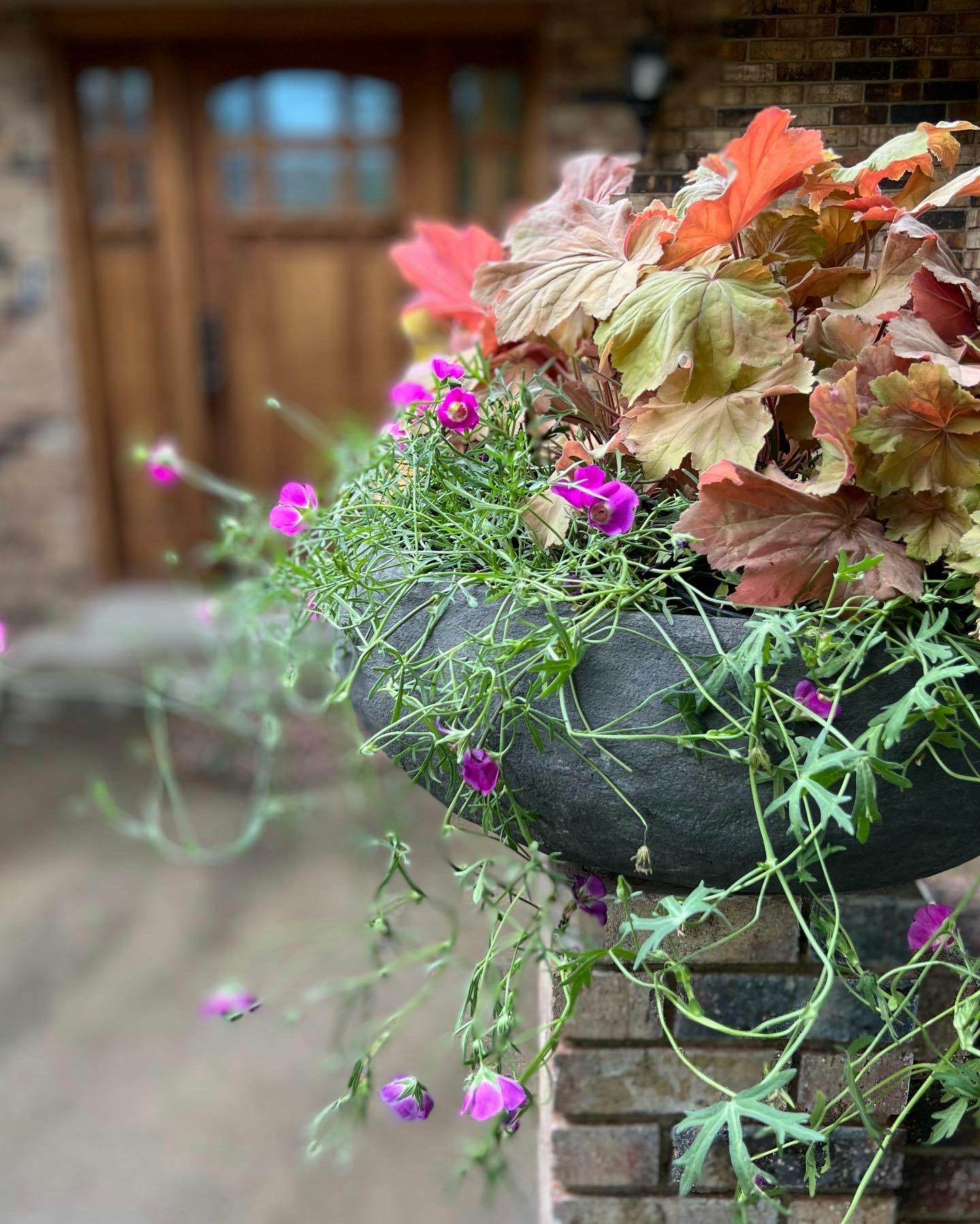 Flower Container Planting and Maintenance Service