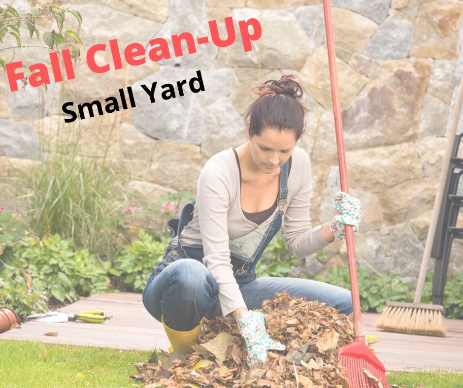 Fall Clean Up - Small Yard (One Flower Bed)