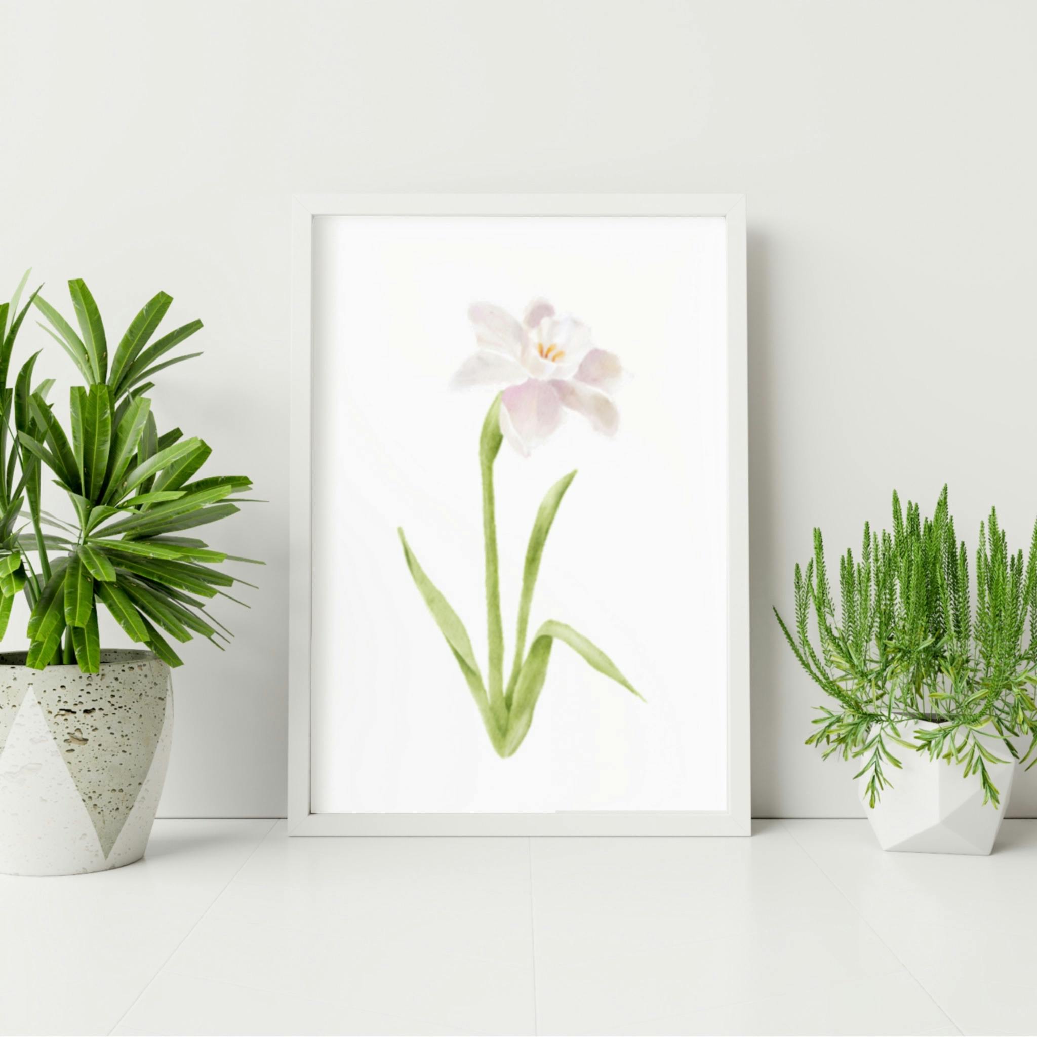 December Birth Flower: Narcissus Art Print 8x10
