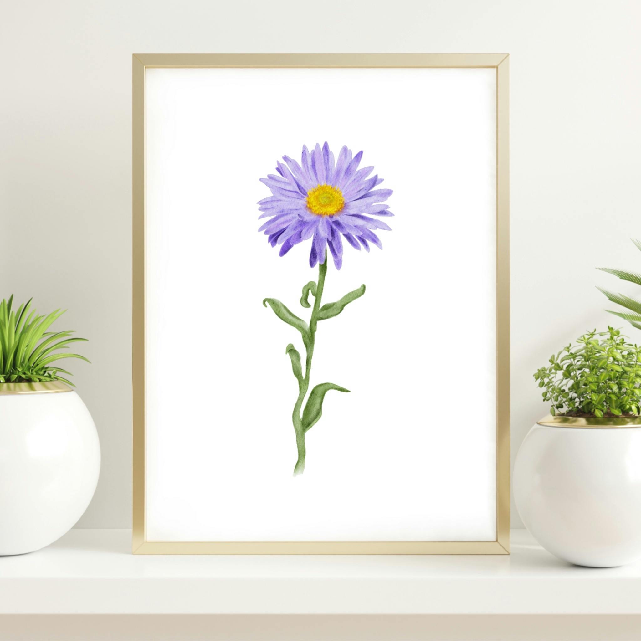 September Birth Flower: Aster Art Print 8x10