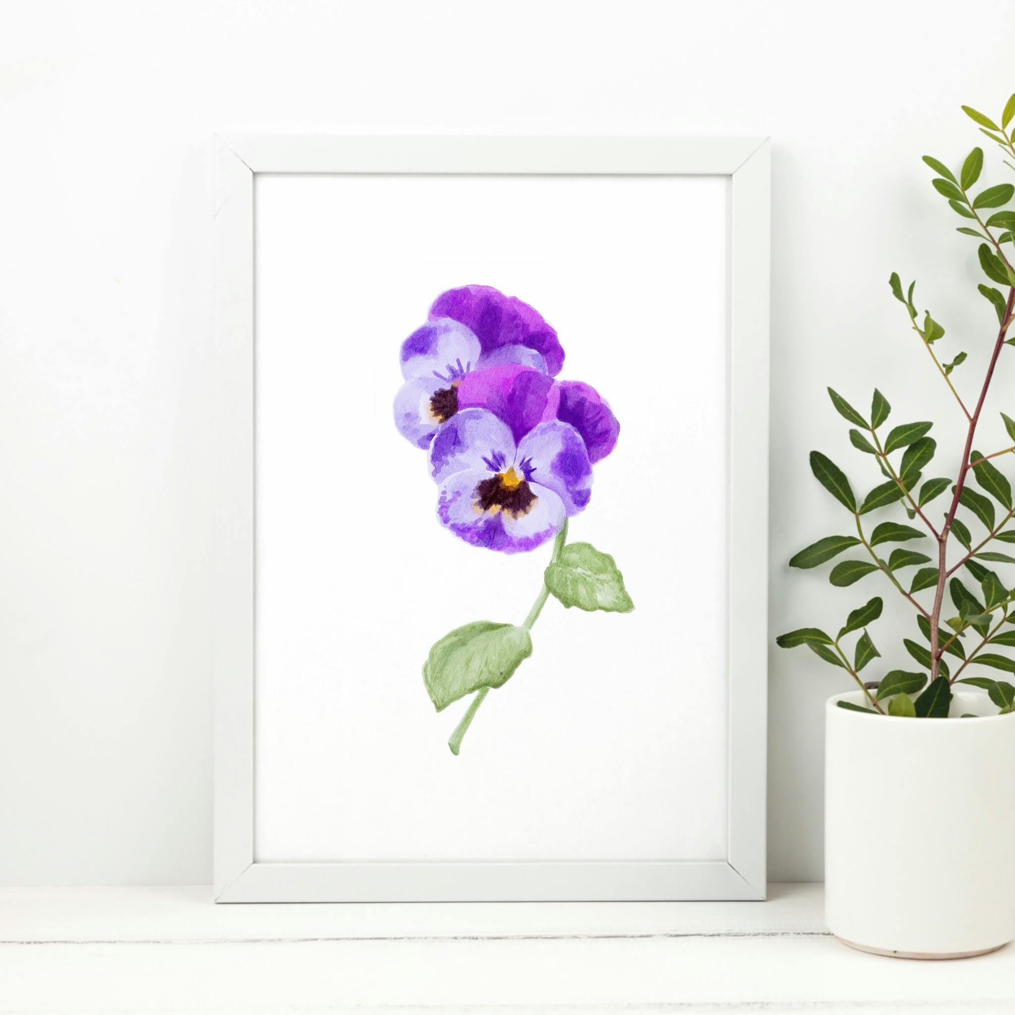 February Birth Flower: Pansy Art Print 8x10