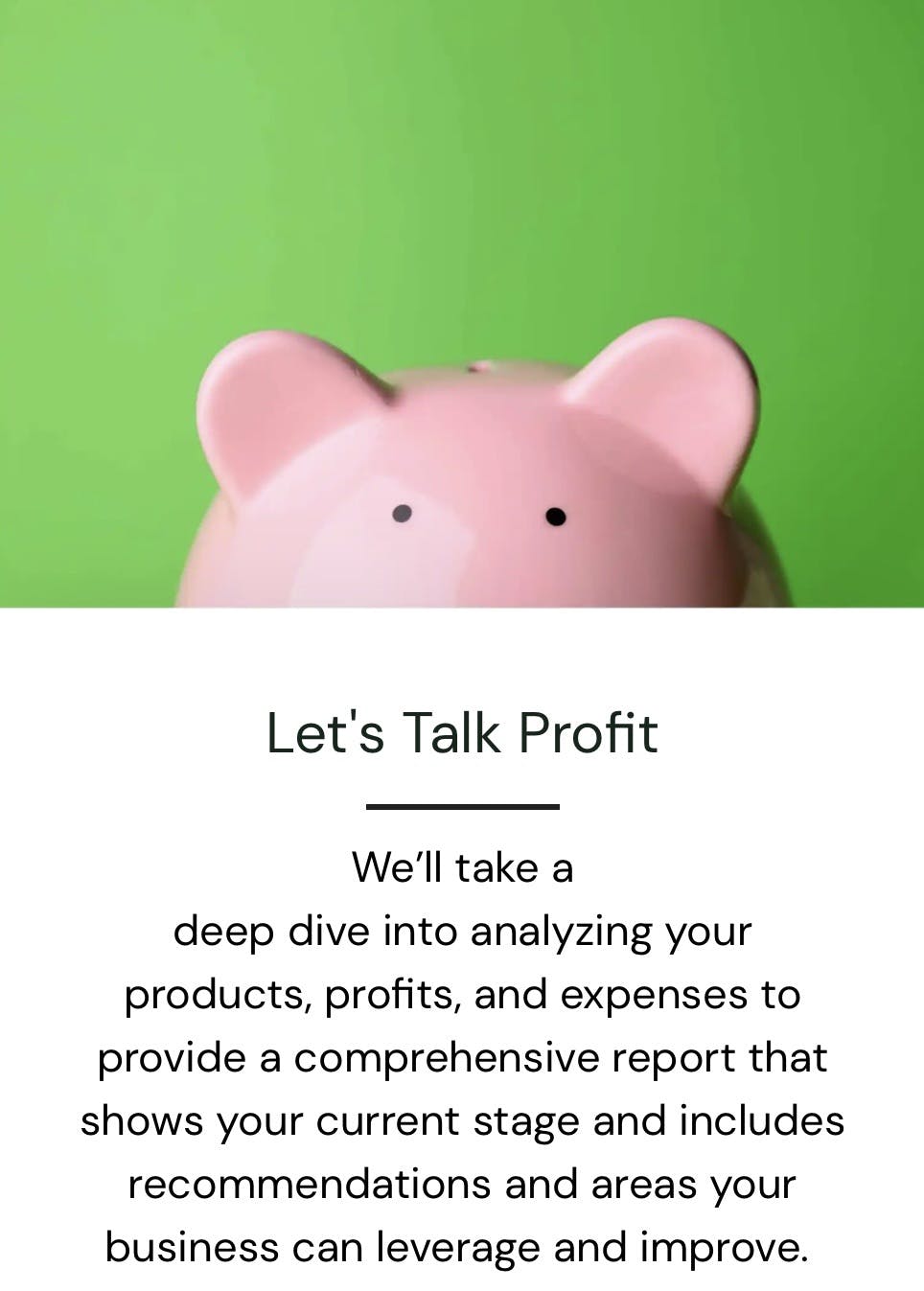 Profit/Product Audit