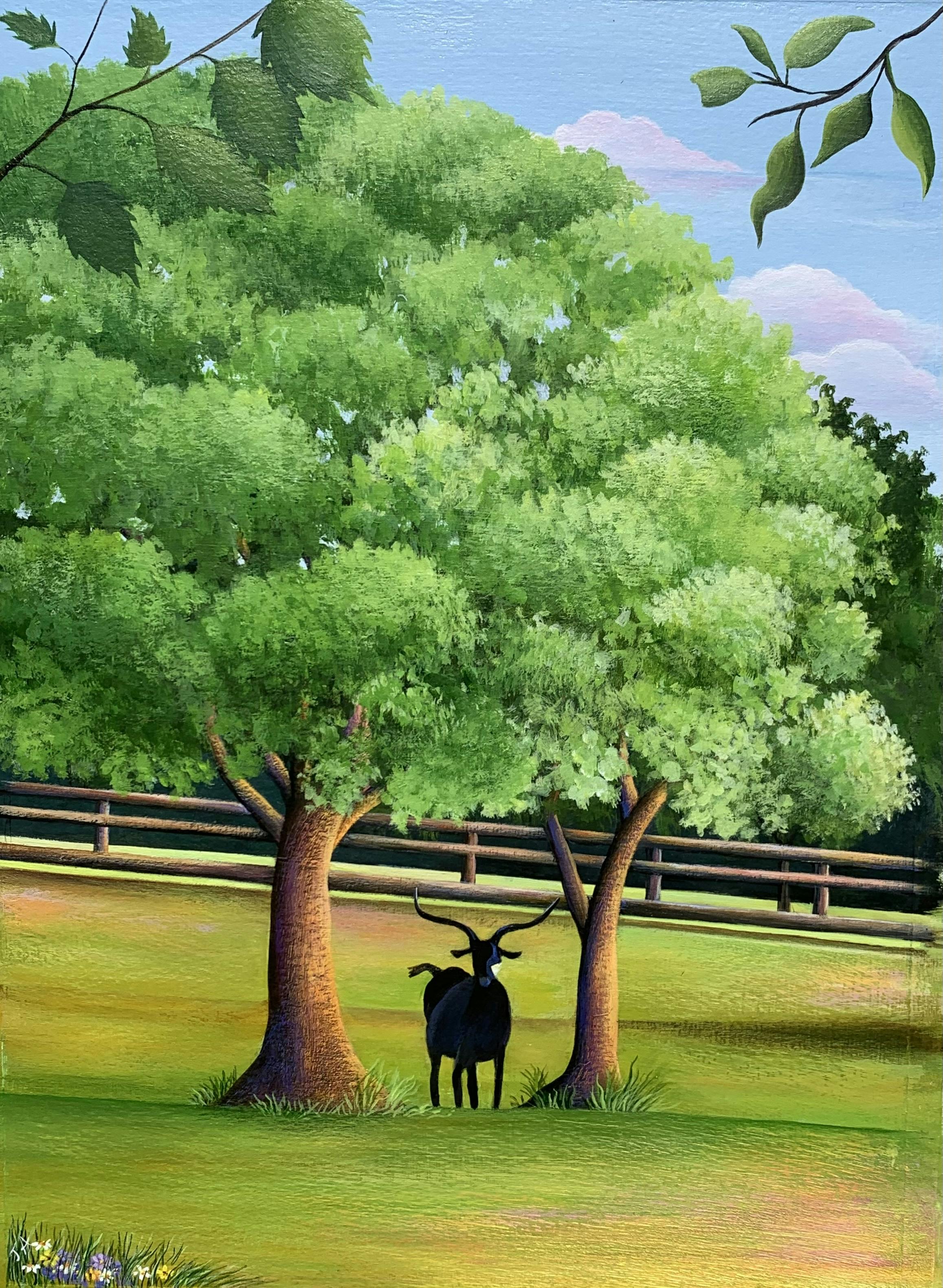 "Black Goat in a Morning Meadow"