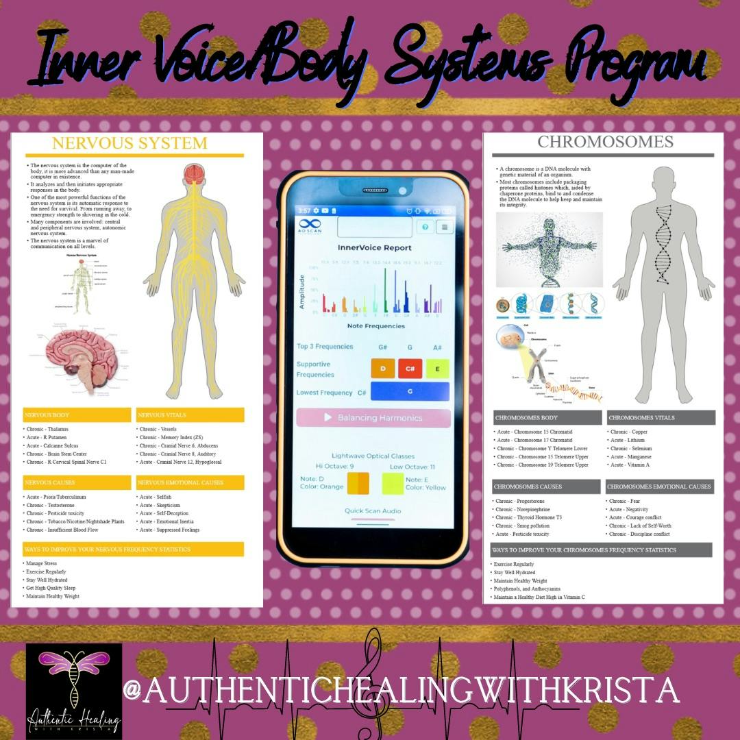 Inner Voice/Body Systems Program 