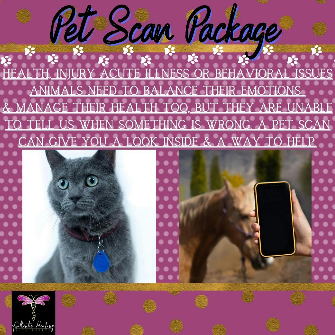 Pet Scan Package with SEFI Support 