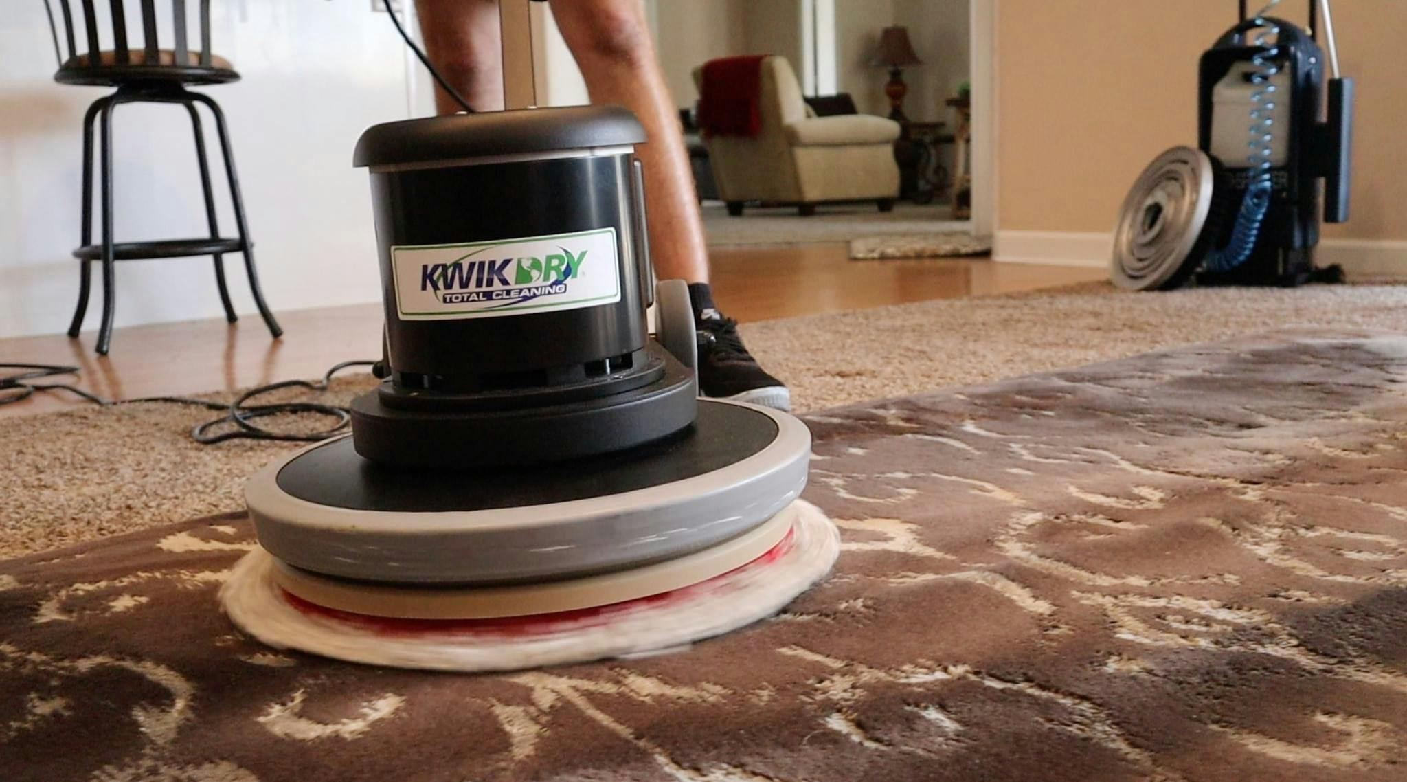 Whole house carpet cleaning