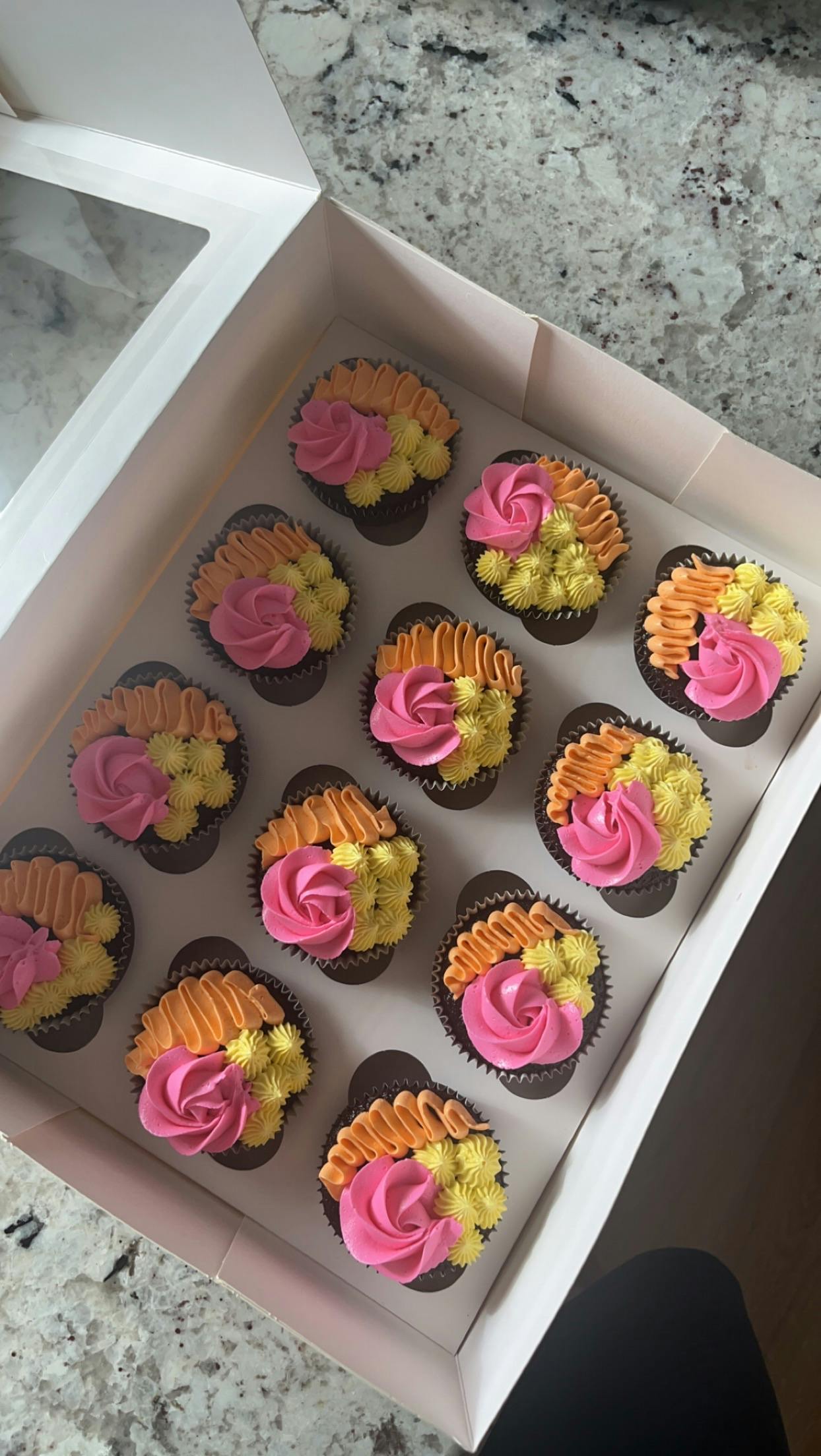 Cupcakes  1 dozen 
