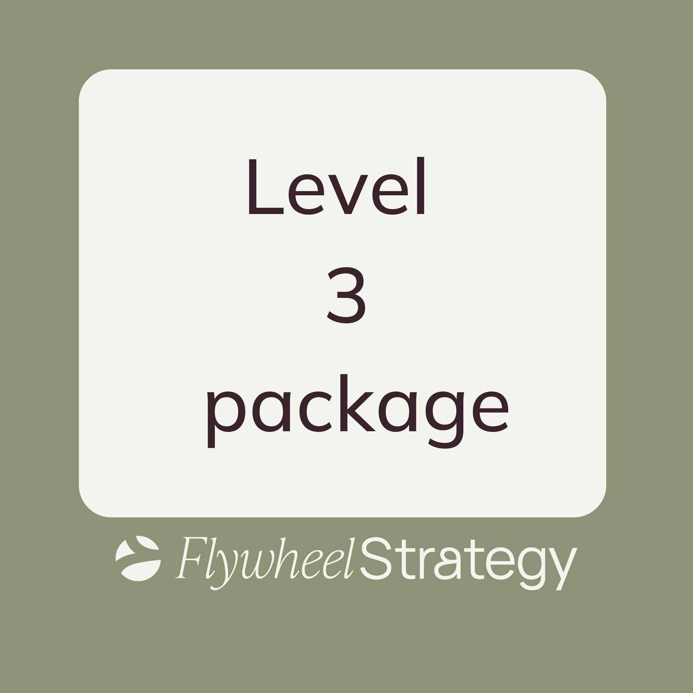 Level 3 support (3 month partnership)