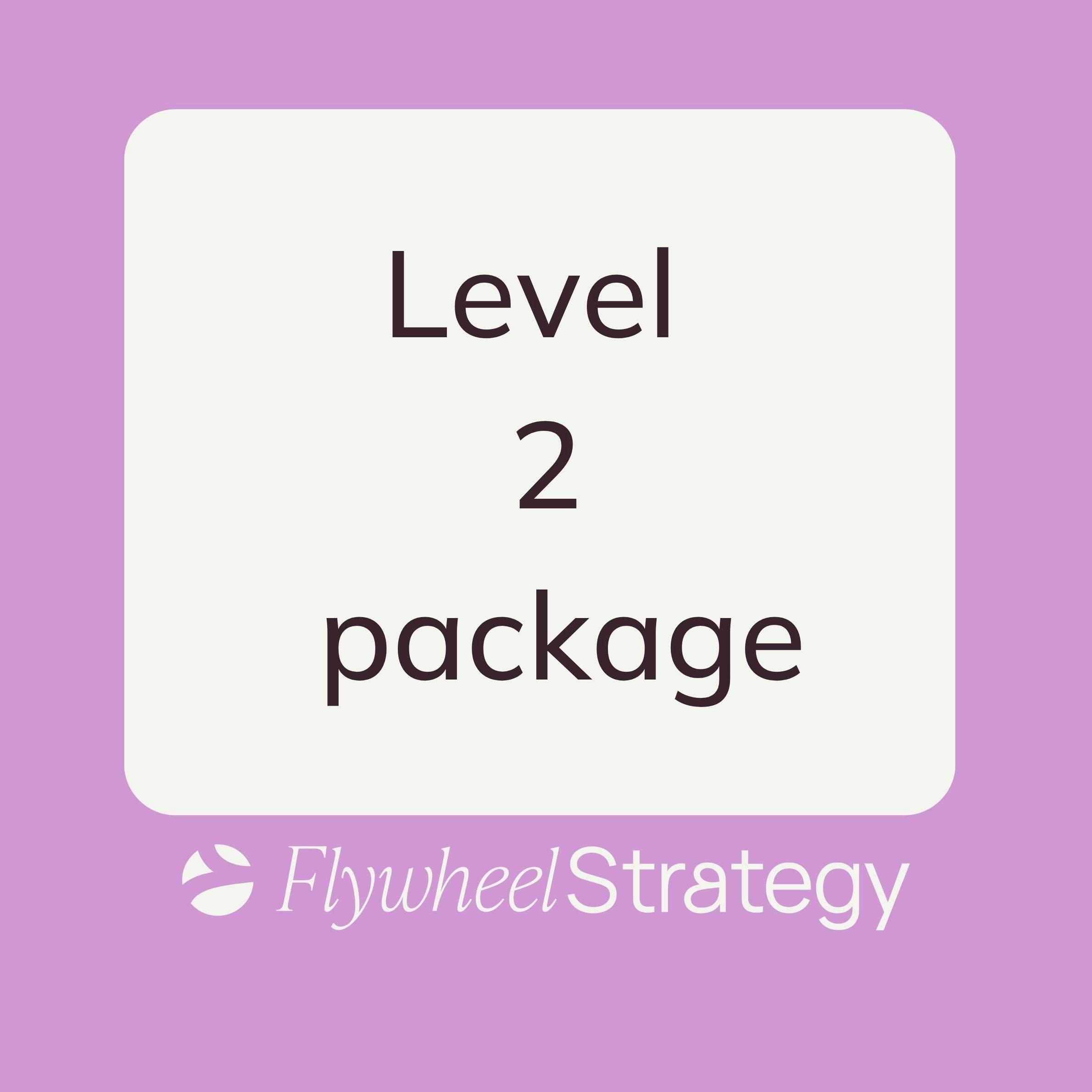 Level 2 support (3 month engagement)