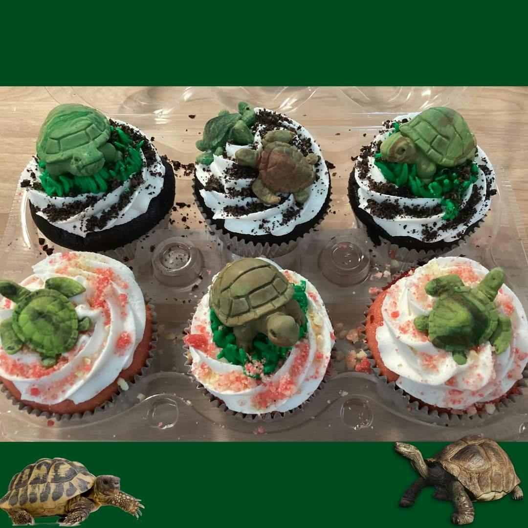 Custom cupcakes