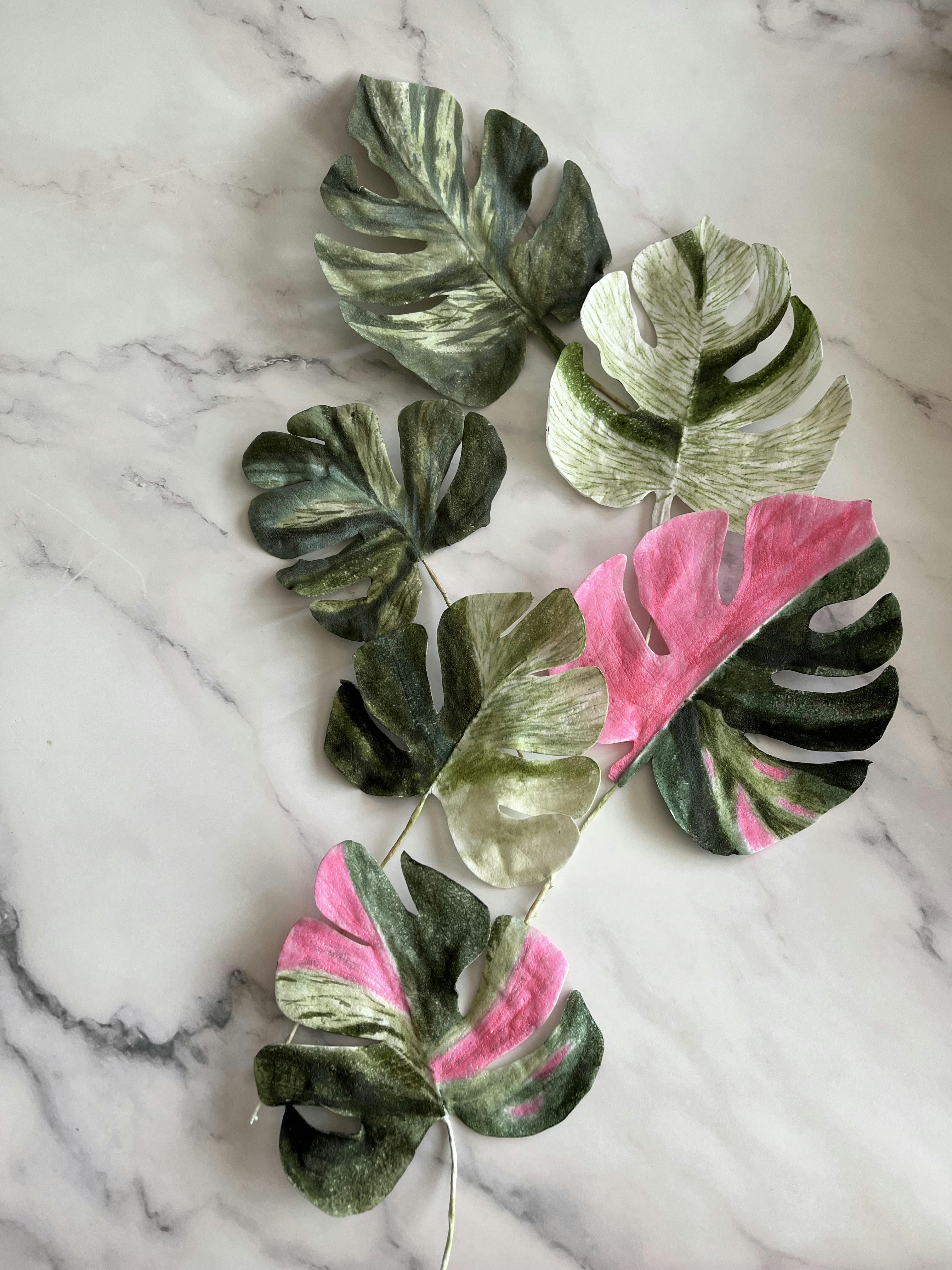 Wafer Paper Monstera Leaves for Cake Decorating